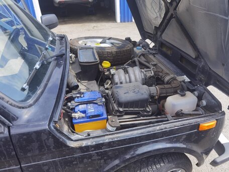 2019 Lada (ВАЗ) 2121 (4x4) I Рестайлинг, чёрный, 565000 рублей, вид 3