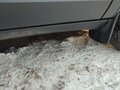 2013 Chevrolet Niva I Рестайлинг, серый, 550000 рублей - вид 8