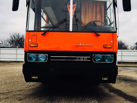 1991 Ikarus 256, красный, 10000000 рублей, вид 5