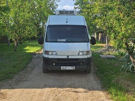 2000 Fiat Professional Ducato, белый, 340000 рублей, вид 1