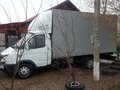 2005 ГАЗ ГАЗель (3302), белый, 850000 рублей - вид 4