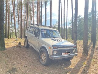 2004 Lada (ВАЗ) 2131 (4x4) I, серебристый, 250000 рублей, вид 3