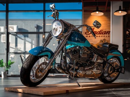 2014 Harley-Davidson Softail Custom, синий, 999999 рублей, вид 1