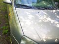 2006 Lada (ВАЗ) Kalina I, бежевый, 250000 рублей - вид 3