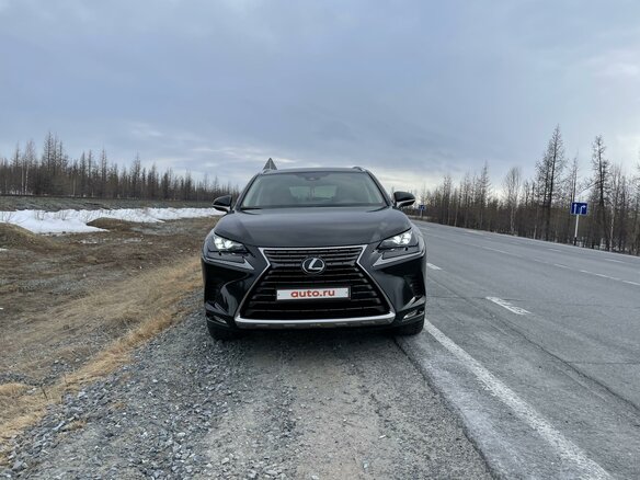 2019 Lexus NX 300 I Рестайлинг, чёрный, 5900000 рублей - вид 2