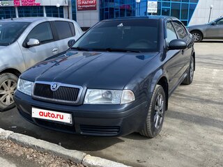 2010 Skoda Octavia I (A4) Рестайлинг, серый, 525000 рублей, вид 4