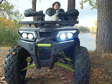 2017 Motoland Wild Track 200, белый, 180000 рублей, вид 1