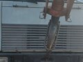 2002 МАЗ Автокраны, серый, 2300000 рублей - вид 1