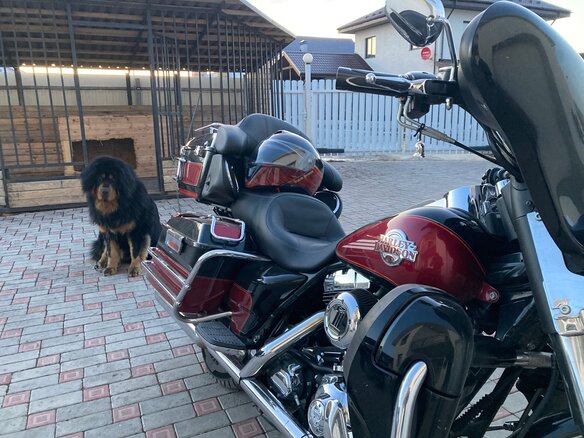 2004 Harley-Davidson Electra Glide, чёрный, 850000 рублей - вид 12