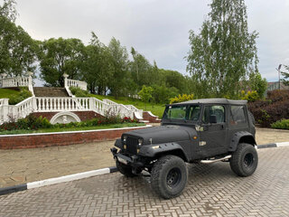 1995 Jeep Wrangler I (YJ), чёрный, 1290000 рублей, вид 5