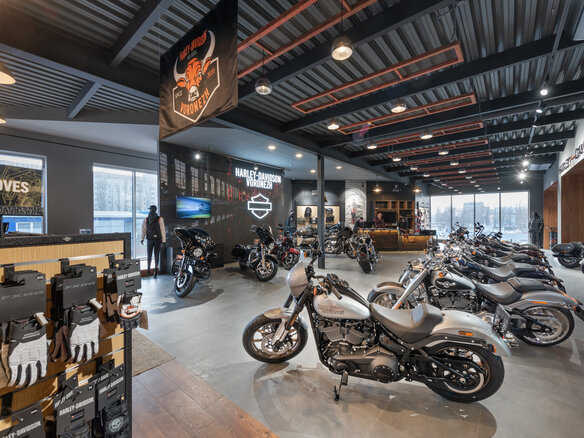 2020 Harley-Davidson Road Glide, коричневый - вид 12