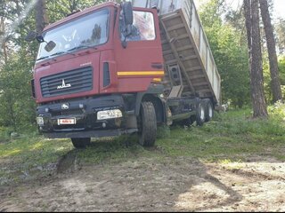 2014 МАЗ 6501, красный, 2500000 рублей, вид 2