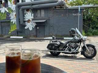 2005 Harley-Davidson Road King, серый, 850000 рублей, вид 3