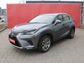 2017 Lexus NX 200 I Рестайлинг, серый