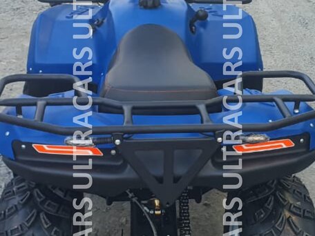 2026 Irbis ATV 200U, синий, 235196 рублей, вид 4