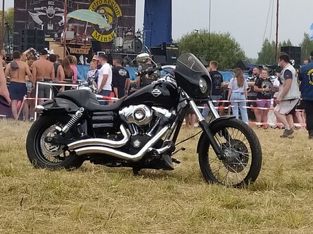 2009 Harley-Davidson Dyna Wide Glide, чёрный, 805000 рублей, вид 3