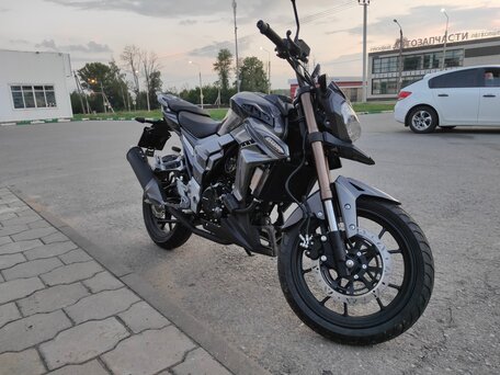 2023 Regulmoto T-Leopard 300, чёрный, 230000 рублей, вид 4