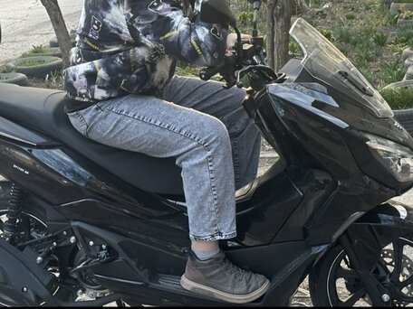 2024 VMC (Vento) PCX, чёрный, 100000 рублей, вид 2