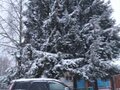 2012 Great Wall Hover H3 I, чёрный - вид 3