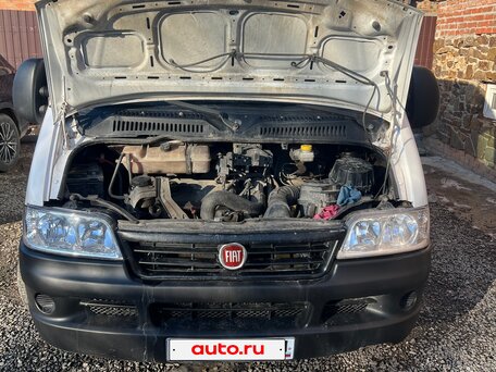 2010 Fiat Professional Ducato, белый, 1150000 рублей, вид 3