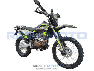 2024 Regulmoto Sport 003 PR, зелёный, 199000 рублей, вид 3