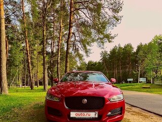 2016 Jaguar XE I, пурпурный, 1726559 рублей, вид 5