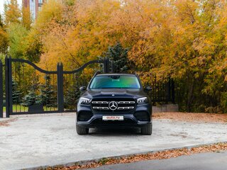 2020 Mercedes-Benz GLS 450 II (X167), синий, 12000000 рублей, вид 2