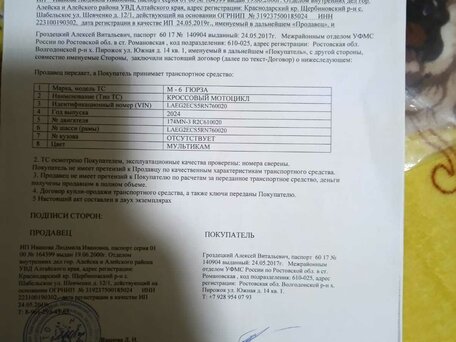 2024 Гюрза M6, зелёный, 209000 рублей, вид 4