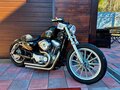 2009 Harley-Davidson Sportster 883, чёрный, 499000 рублей