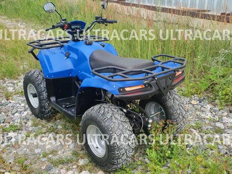 2026 Irbis ATV 200U, синий, 235196 рублей, вид 5