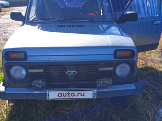 2009 Lada (ВАЗ) 2131 (4x4) I, серый, 390000 рублей, вид 1