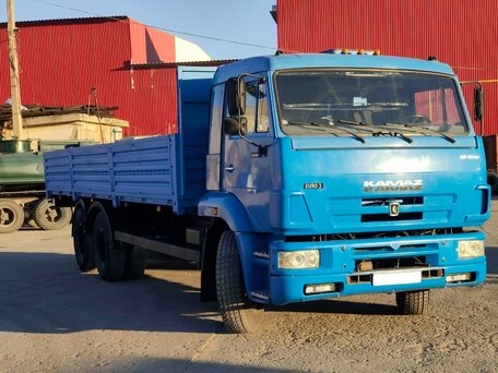 2009 КамАЗ 65117, голубой, 2299000 рублей, вид 1