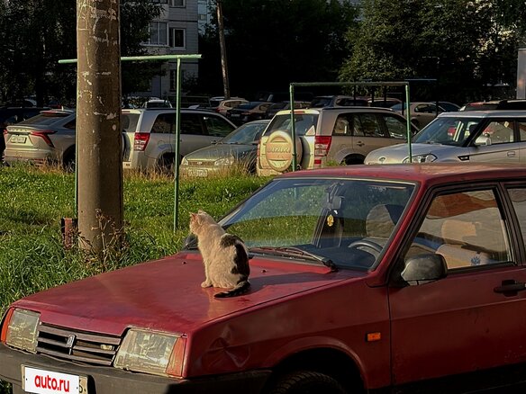 2000 Lada (ВАЗ) 21099, пурпурный - вид 1