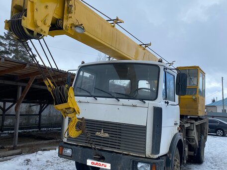 1999 МАЗ Автокраны, 800000 рублей, вид 1