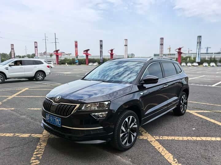 Открыть фотографии: Skoda Karoq I