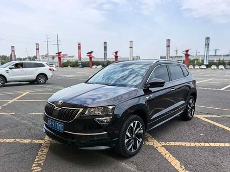 Skoda Karoq I