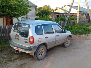 2004 Chevrolet Niva I, серебристый, 300000 рублей, вид 2