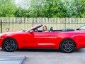 2019 Ford Mustang VI Рестайлинг, красный, 3200000 рублей - вид 6