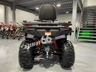 2025 Bashan Explorer 320, белый, 499000 рублей, вид 4