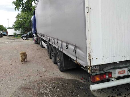 2004 Krone SDP 27, чёрный, 1250000 рублей, вид 2