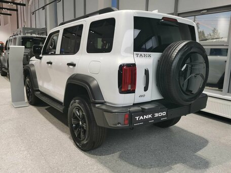 Tank 300 I