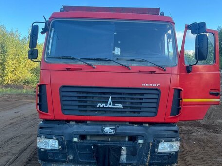 2019 МАЗ 6501, красный, 2100000 рублей, вид 4