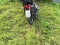 2022 Racer Stells, бежевый, 40000 рублей - вид 3