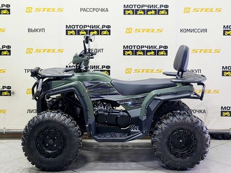 2025 Bison ATV 250F, зелёный, 179000 рублей, вид 2