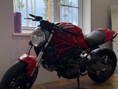 2015 Ducati Monster 821, красный, 1050000 рублей, вид 2