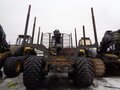 2019 Ponsse Elephant, жёлтый - вид 3