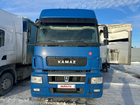 2018 КамАЗ 65209, синий, 2800000 рублей, вид 1