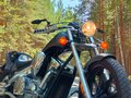 2011 Honda VT 1300CX Fury, серый, 1250000 рублей