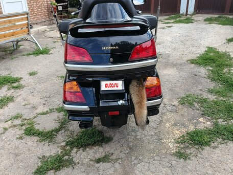 2002 Honda GL 1800 Gold Wing, чёрный, 1050000 рублей, вид 3
