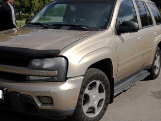 2007 Chevrolet TrailBlazer I Рестайлинг, серый, 1100000 рублей, вид 2